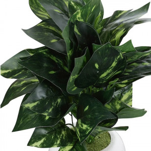 Green Artificial 45 Leaf Money Plant With White Pot